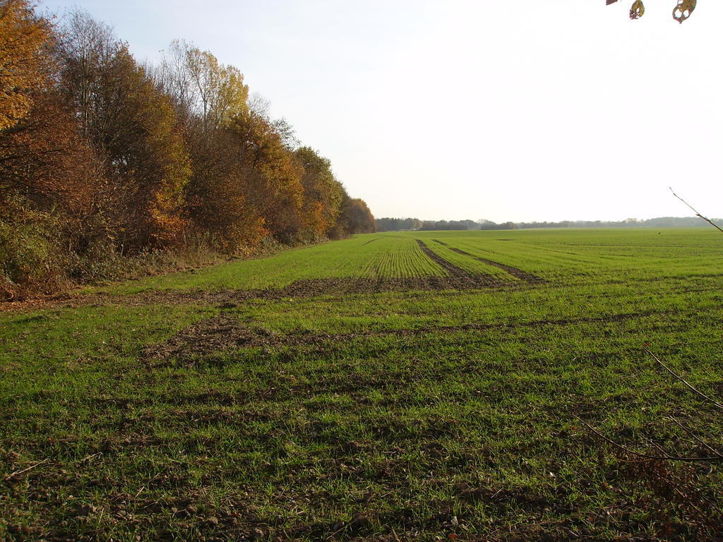 Gasthof Donar