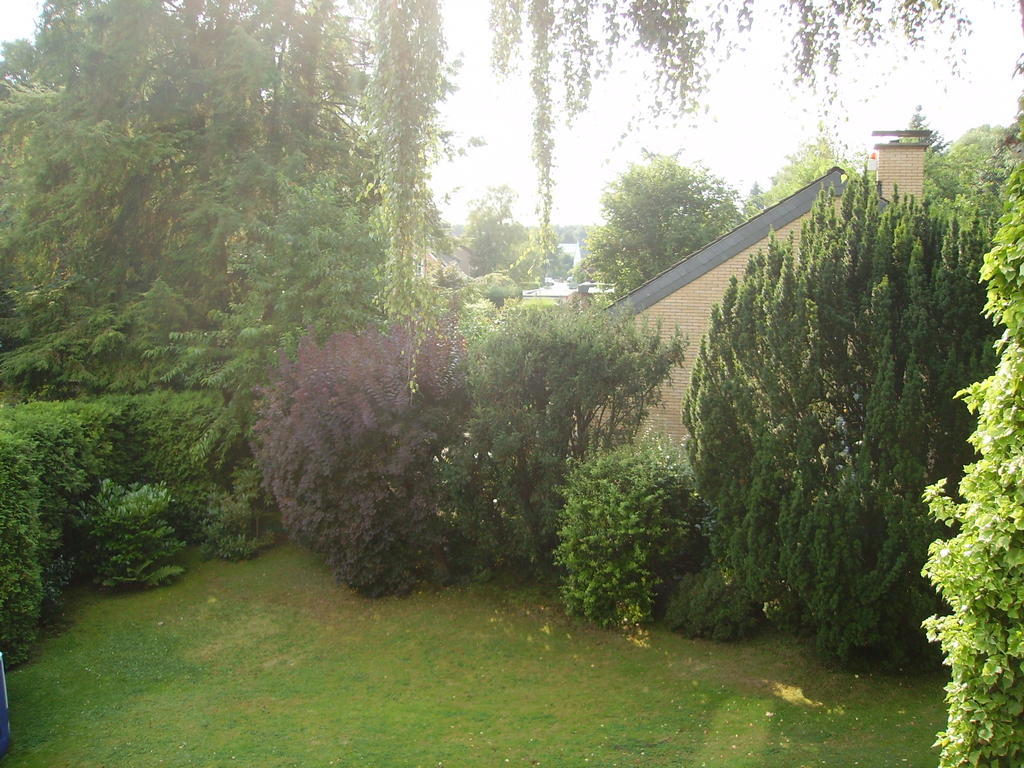 Donar Köln